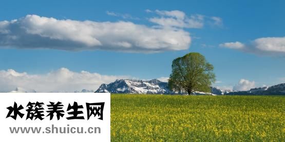 雪绵豆沙的做法
