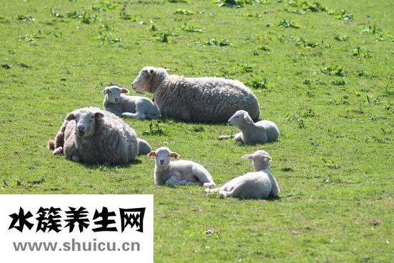 月经止痛药