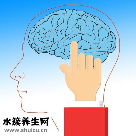 颅中窝骨折