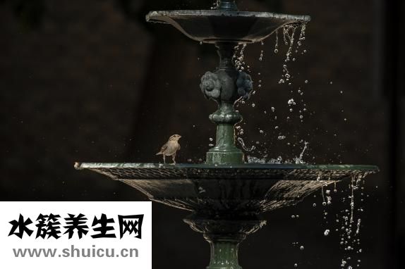 神经源性损害
