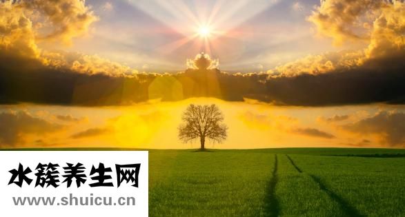 翼状胬肉图片