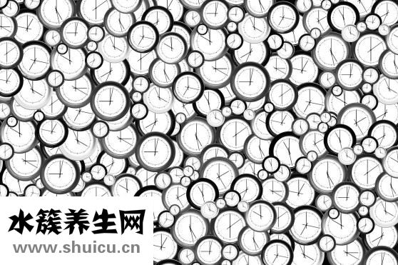 椰子冻怎么吃
