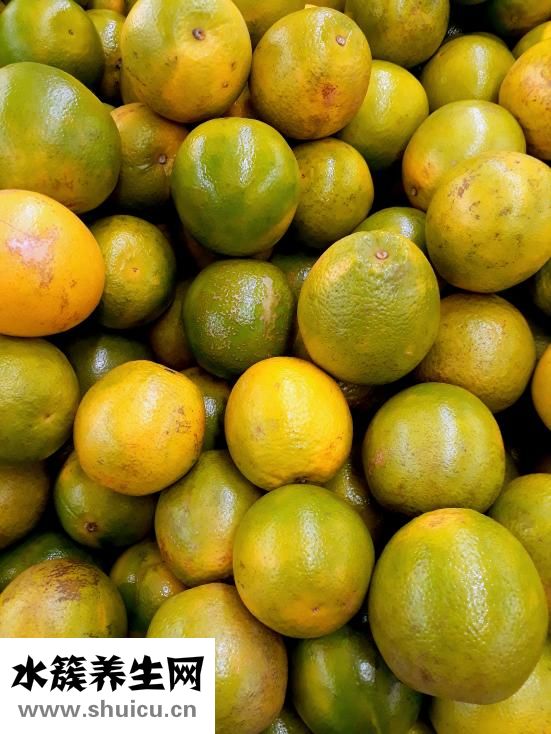 橙皮和陈皮一样吗