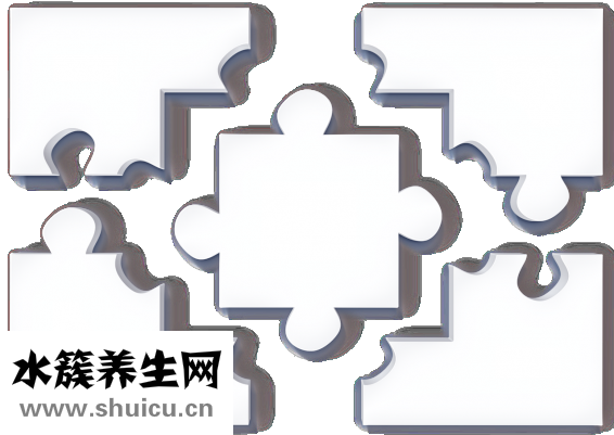 髂嵴怎么读