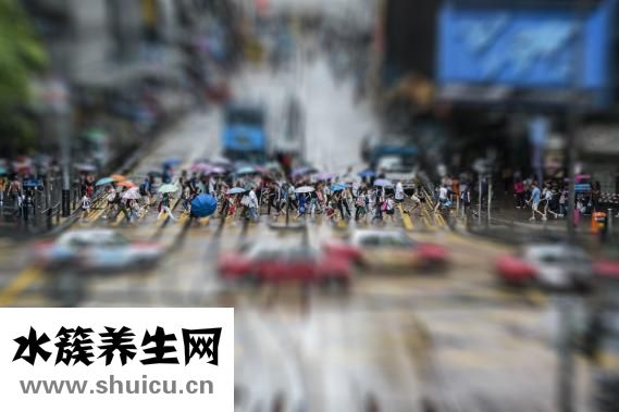 黄芪精颗粒