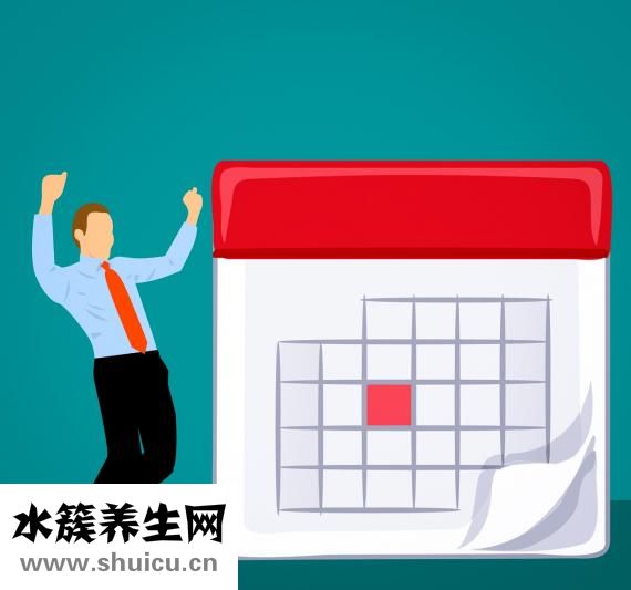孕检时间表