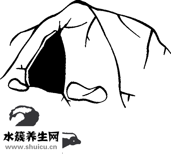 怎样学习做奶茶