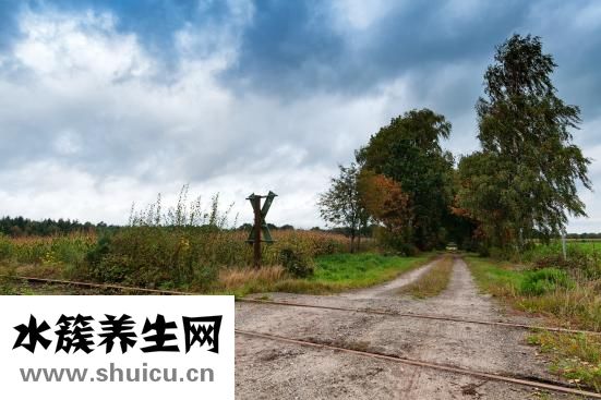 遗传或是造成胎记要素哪些方面会让色调转变？