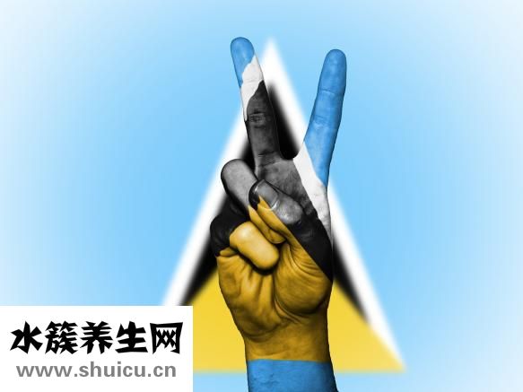 输卵管结扎术