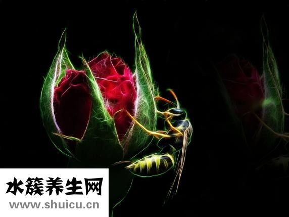 神经血管性头痛