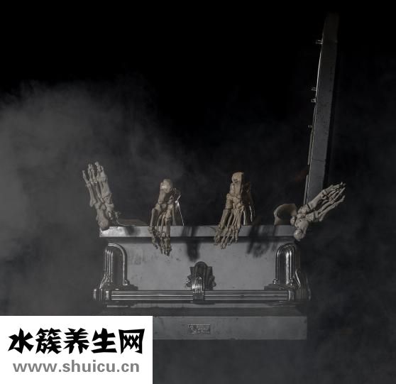 引体向上能长高吗