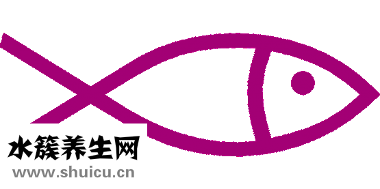 晕车小妙招