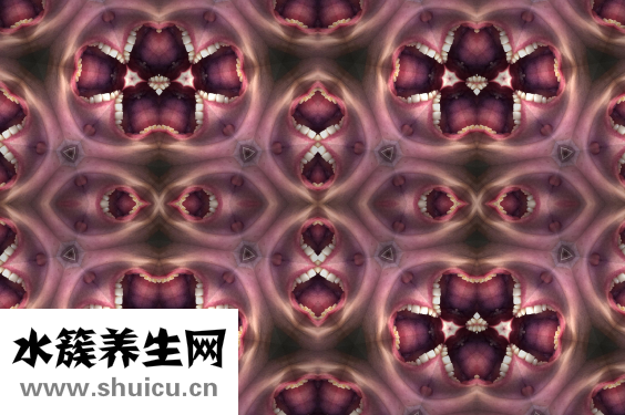 牙齿松动能修复