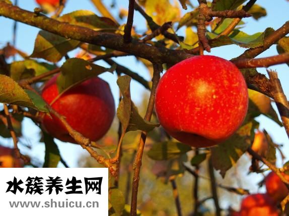 香蕉水有毒吗