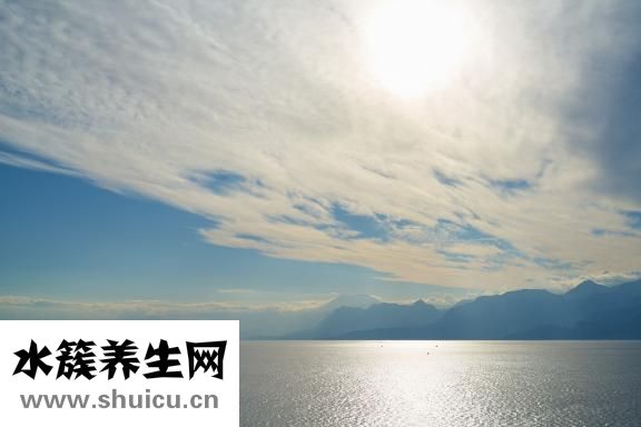 检查心脏挂什么科