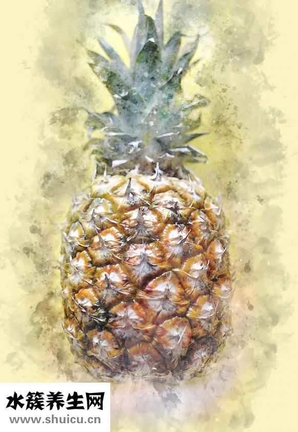椰子冻怎么吃