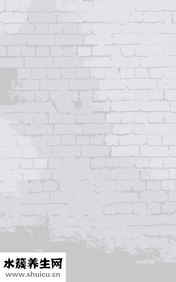 蟹味菇的功效与作用