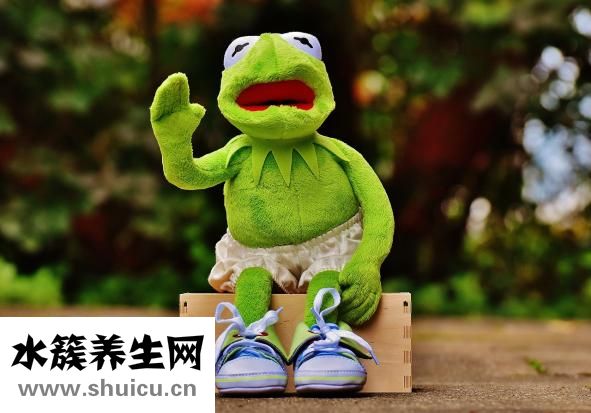 痛风可以吃菠菜吗