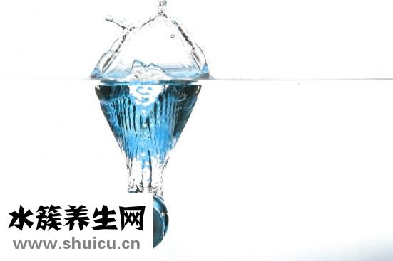 橙皮和陈皮一样吗