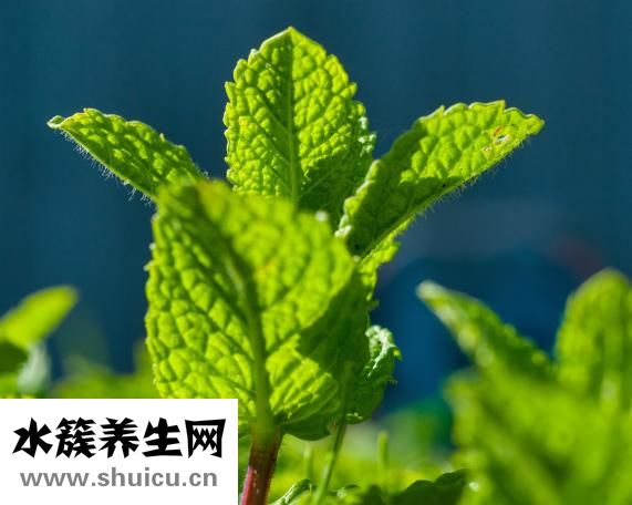 瘙痒症怎么治疗