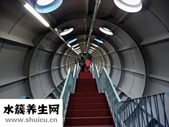 怎样学习做奶茶