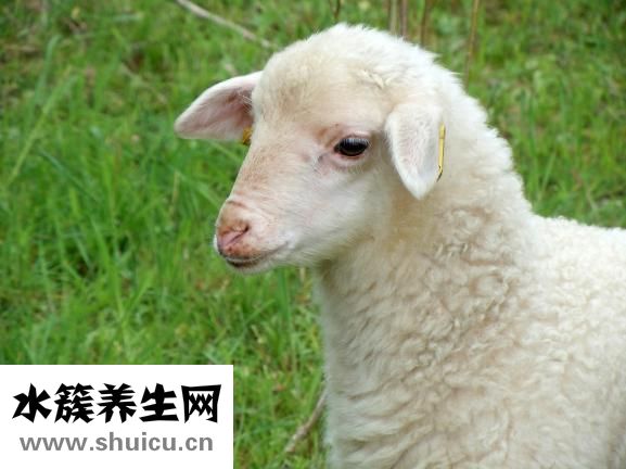 月经止痛药