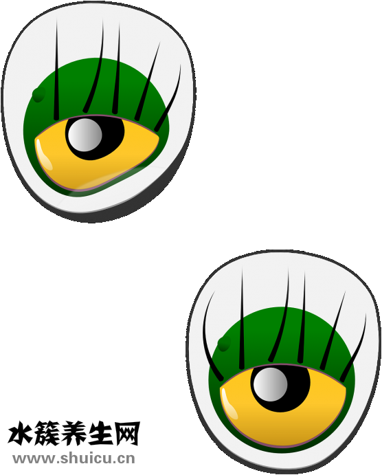 视力下降眼睛模糊