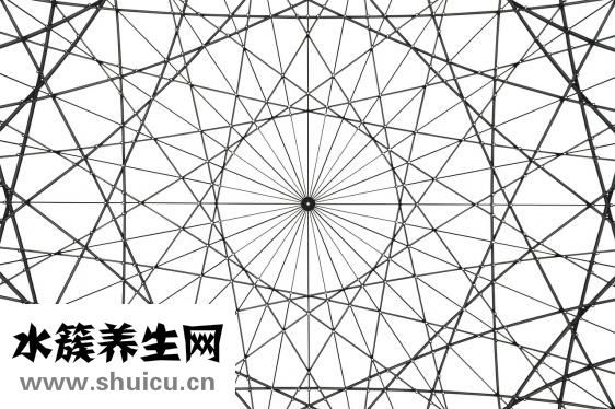视力矫正手术