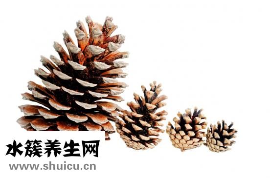 牙齿矫正流程