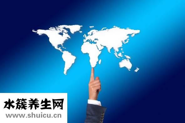 生茶好还是熟茶好