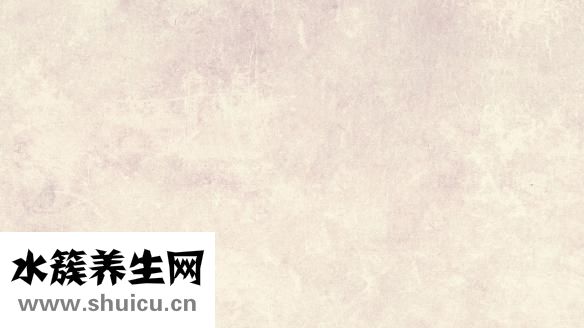 淫羊藿的药用价值