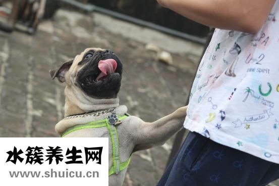 舌头大是怎么回事