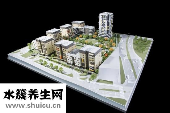 豌豆凉粉的制作方法