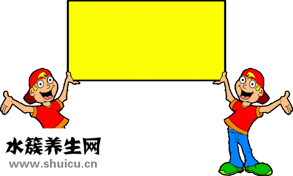 生双胞胎的原因