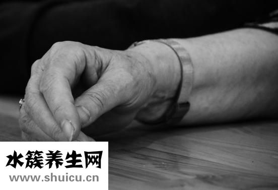 手掌经络图