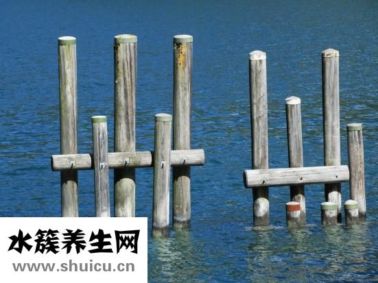 血清淀粉酶