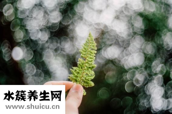 着凉了怎么办