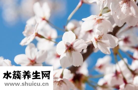 疏肝健脾丸