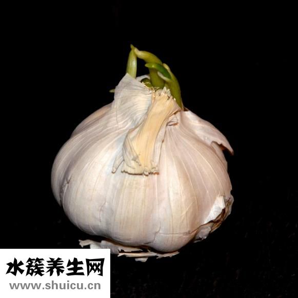 炸鸡粉配方