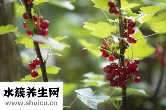 睡觉前喝牛奶好吗