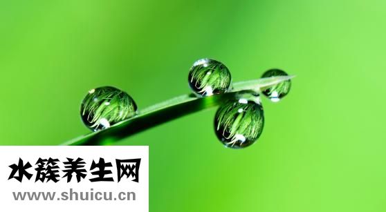 生脉饮的副作用