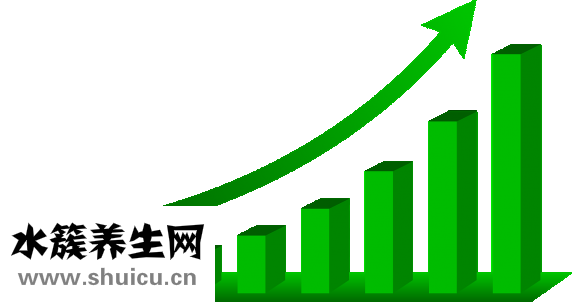 西洋参的功效