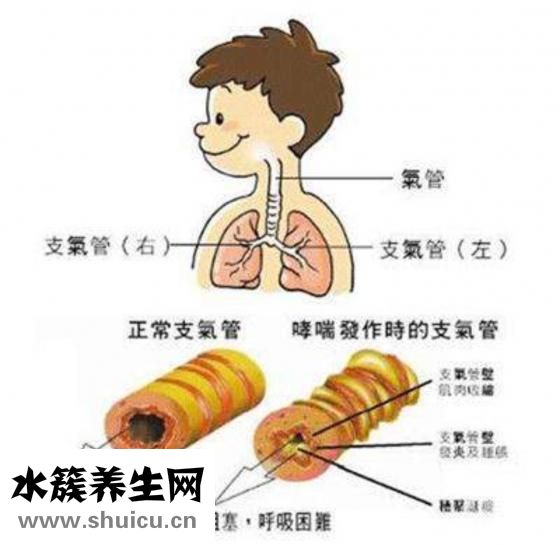 盐酸普鲁卡因能治疗什么疾病（盐酸普鲁卡因水解反应）