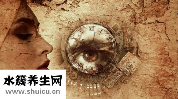 西洋参含皂甙可刺激皮肤胶原蛋白再生