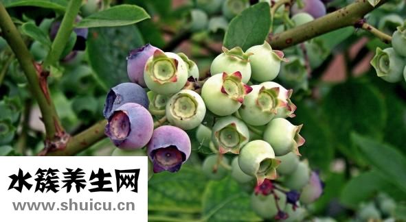 睡觉磨牙怎么办