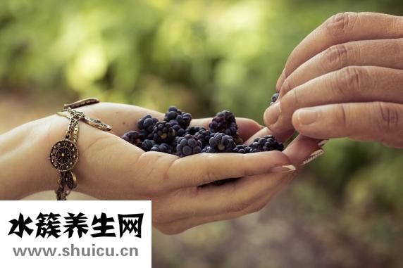 环磷酰胺的作用