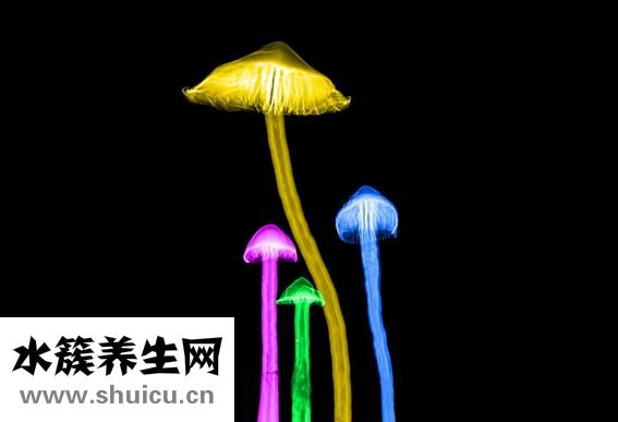 什么是放疗和化疗