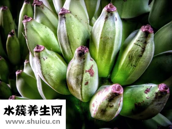 香蕉饼的做法