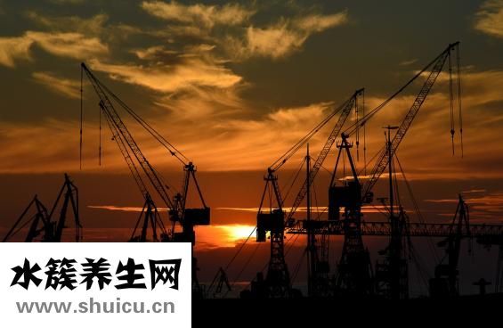 阳痿按摩手法