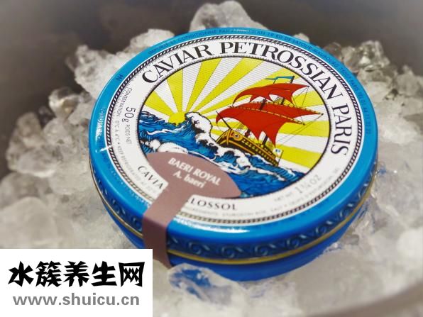 鱼子酱是什么鱼的卵